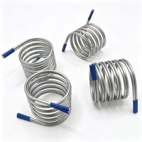 Clip de roulement de forme spéciale personnalisé, ressort de torsion double spirale en acier inoxydable