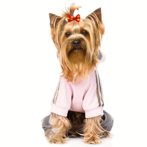KingHon 50 piezas/bolsa Lindos Lazos para Mascotas, Lazos Pequeños para Perros, Lazos para el Pelo, Accesorios para la Cabeza, Flores Pequeñas - Product Image 3