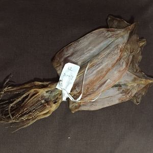 Mực Illex Khô Toàn Bộ Hình Tròn Đông Lạnh Mực Khô Đông Lạnh Làm Sạch Không Da Chất Lượng Hàng Đầu Xuất Khẩu Để Bán - Product Image 4