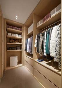 Armoire double en bois personnalisée Design Rangement mural Intérieur Armoire de chambre en bois Chambre à coucher Placard Rangement - Product Image 3