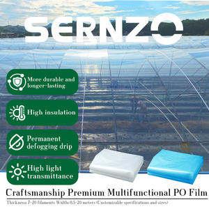 Fabrika Tedarikli 200 Mikron UV Dayanımlı Şişirme Kalıplama Sera Filmi Şeffaf Toz Geçirmez Polietilen Tarım Tüneli Örtüsü - Product Image 2