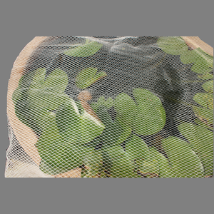 Nhà máy trực tiếp tùy chỉnh-thực hiện Polyethylene (PE) nông nghiệp chim lưới/chống mưa đá lưới - Product Image 1