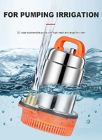 Série de pompes submersibles solaires basse pression avec technologie MPPT pour puits et piscines, personnalisable OEM