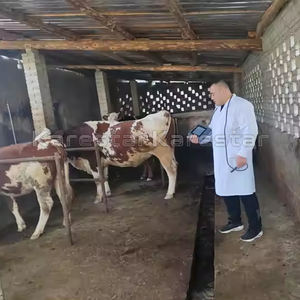 Vétérinaire portatif de fonction professionnelle avec l'échographie claire d'imagerie - Product Image 4