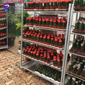 <span class=keywords><strong>Carrito</strong></span> de flores de acero con plataforma de contrachapado galvanizado para invernadero de almacenamiento de transporte - Product Image 4