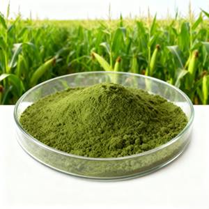 YIDA Biotech Trichoderma Viride 10 Millones UFC/g Fertilizante Biológico en Polvo con Ácido Húmico para Control de Podreduras Radiculares y de Tallos, Aplicación por Infiltración - Product Image 1