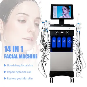 Professionale 14 in 1 multifunzionale cura del viso pulizia profonda ringiovanimento della pelle sbiancamento a getto di ossigeno Aqua Peel Beauty Machine