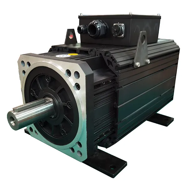 high precision and accuracy ac permanent magnet servo motor