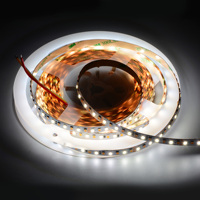 Bande LED intelligente avec garantie de 5 ans, SMD2835, blanc réglable CW WW, 12V 24V, dimmable, CRI élevé Ra80, 3000K, éclairage décoratif intérieur pour la maison