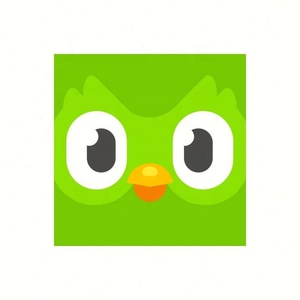 บัญชี Duolingo Pro ระดับพรีเมียม 1 ปี ใช้ได้ทั่วโลก เปิดใช้งานบัญชีของคุณเอง - Product Image 4
