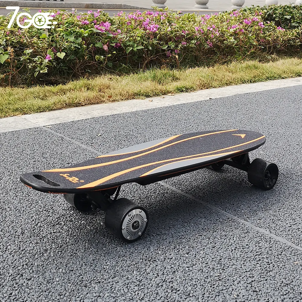 USA warehouse Electric Fish-Shaped Electric Longboard Skateboard 300W Hub motor electric skateboard