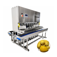 Volledig automatische schilmachine met lage pulpverlies, energiebesparend, voor mango, sinaasappel en aardappel, geschikt voor fruitverwerkingsbedrijven.