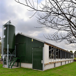 Prefabricated Modern Galvanised Steel Frame Building <strong>Design</strong> For Chicken House Poultry Farm Shed - Product Image 4