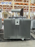 Transformateur toroïdal triphasé immergé dans l'huile 320/315/300 KVA 30KV 33KV 400V série S certifié CE IEC GOST 50/60Hz