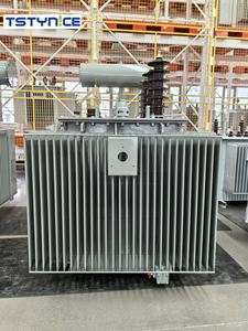 320 Kva 315kva 300kva 300 Kva 30kv 33/0.4kv配電価格オイル浸料三相屋外完全密封変圧器 - Product Image 3