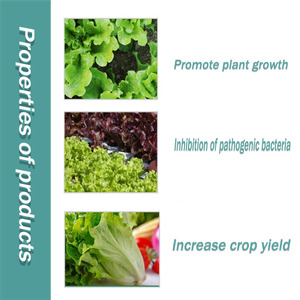 Amélioration efficace de croissance de plantes d'<span class=keywords><strong>engrais</strong></span> organique de Offre Spéciale avec des auxiliaires chimiques de poudre d'acide aminé - Product Image 4
