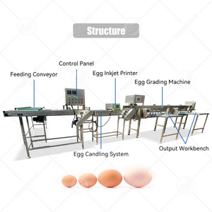 Linea di Produzione <span class=keywords><strong>ORME</strong></span> per la Classificazione delle Uova, Selezionatrice Automatica di Uova, 4000 Uova all'Ora - Product Image 2