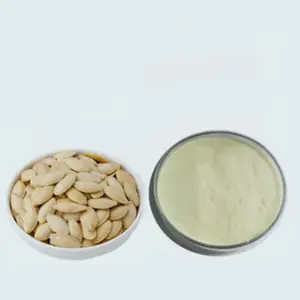 Proteine di alta qualità semi di zucca spremuto a freddo biologico proteine vegane in polvere proteine di zucca in polvere 60%