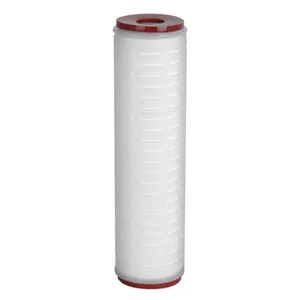 Cartucho de filtro de agua plisado de membrana de PTFE hidrofóbico con etiqueta personalizada con resistencia a la corrosión para filtración estéril
