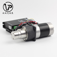 Forte puissance 120w acier inoxydable 316 Mini pompe à engrenages Portable automatique entraînement magnétique pompes à engrenages externes