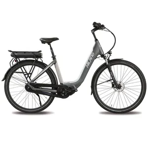 Joykie Fabrikant Nieuwe Ontwerp 36V 250W Stedelijke Stijl Stad E Fiets Stap Thru Womens Retro Elektrische Fiets