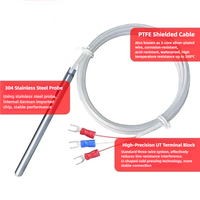 Sonde de température PT100 de haute précision, longue de 100 mm, neuve et originale, sonde de résistance thermique en platine, thermocouple P1000