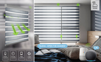 Stores Zébrés Motorisés Intelligents Tuya Connectés Wi-Fi, Contrôlés par Alexa, à Batterie, 100% Occultants, avec Moteur Solaire