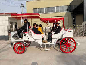 Chariot de tourisme durable à chevaux, véhicule de tourisme à faible entretien pour opérations commerciales - Product Image 4