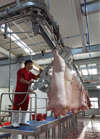 Solution professionnelle de découpe de carcasses de porcs, scie à ruban électrique, rendement optimal, scie de découpe, équipement professionnel