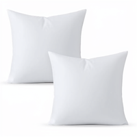 Coussin décoratif carré pour canapé-lit, garni de polyester, confortable et décoratif pour l'intérieur, avec housses nettoyables à la main