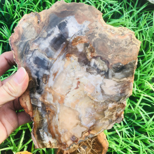 <strong>Wholesale</strong> Bulk Natural Colorful Petrified Specimen Wood fossil <strong>Raw</strong> Stone Slab Healing <strong>Crystal</strong> for Decoration - Product Image 5