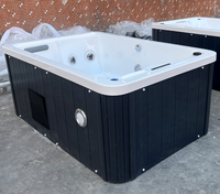 Baignoire de spa d'hôtel moderne en acrylique pour intérieur et extérieur avec panneau intelligent et éclairage LED