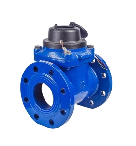 Medidor de Agua Fría de Paletas, 100 mm, OIML R 49 - Product Image 2