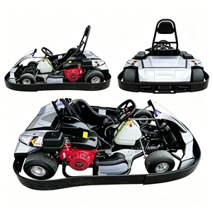 Karts de qualité supérieure résistants à la corrosion pour parcs d'attractions en bord de mer et utilisation à long terme - Product Image 2