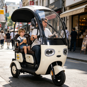 Tricycle Électrique Adulte FGQ 60V 650W à Châssis Ouvert, 3 Roues, 2 Places, Style Urbain, Loisirs et Shopping Familial - Product Image 1