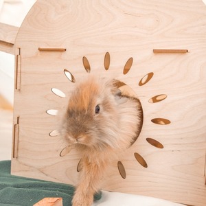 Modern Small Animal Bed <b>Wooden</b> <b>House</b> Winter Pet Furniture for <b>Cats</b> Stylish Outdoor Living - Product Image 4