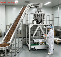 Machine d'emballage automatique quantitative pour granulés, idéale pour les snacks, bonbons, graines de melon, gelées et snacks surgelés (OEM/ODM)