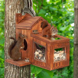 Mangeoire Chipmunk en bois de haute qualité à l'extérieur de la boîte durable mangeoire d'écureuil en bois pour le maïs - Product Image 6