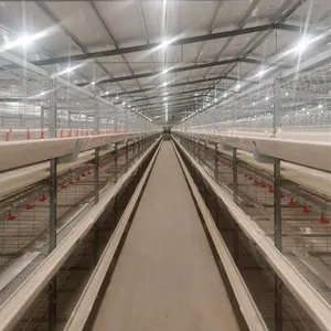 Sıcak satış otomatik katman kafes broiler tavuk kafesi sistemi