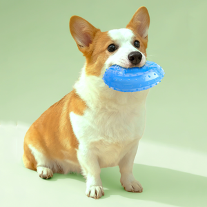 <span class=keywords><strong>Jouet</strong></span> pour chien en forme d'os rempli d'eau, résistant aux morsures, pour les molaires, en TPR, jouets à mâcher - Product Image 5