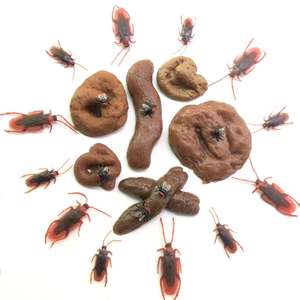 Juguete de Broma Divertido para Parejas del Día de San Valentín, Caca Realista, Juego de 24 Piezas, Día de los Inocentes - Product Image 1