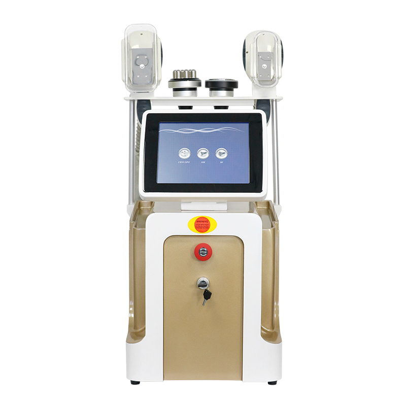 Hot selling Cryolipolysis Slimming Machine Portable