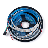 Lampu LED Strip 5V Addressable WS2812B SK6812,5050 Full Color Built-in IC Programmable Dream Color Lampu Strip Aliran Warna-warni Terkenal di Internet