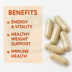 Melhor Preço em Suplementos Cápsulas de <span class=keywords><strong>Ginseng</strong></span> Extrato de Raiz de <span class=keywords><strong>Ginseng</strong></span> Panax Cápsulas Veganas para Energia, Performance e Foco - Product Image 3