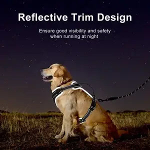 Adjustable Reflective Large Dogs No Pull Dog Harness Neoprene Pet Harness Luxury Training Dog Harness Leash Set