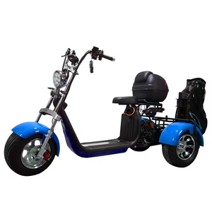 Scooter Eléctrico Citycoco 2026, Unisex, de Tres Ruedas, Deportivo/de Golf, con Batería de 12/20ah, Tipo Digital Inteligente, Triciclo de Golf - Product Image 5