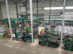 Prix bas Maf Roda 2 lignes pour Apple bonne qualité Machine à fruits automatique ligne de classement des fruits utilisée trieuse automatique de Fruits - Product Image 2