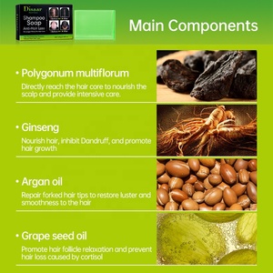 Champú y Jabón Disaar de 3 Pasos para el Crecimiento del Cabello, Revitalizante, Anticaída, con Ingredientes Naturales de Plantas, Ginseng y Aceite de Argán - Product Image 4