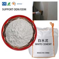 Ciment Blanc de Haute Qualité Personnalisable en Gros – Direct Usine