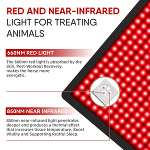 Nuova Coperta Terapeutica Equina a Luce Rossa e Infrarossa 2660LED 660nm 850nm per Collo e Corpo Intero del Cavallo - Product Image 4
